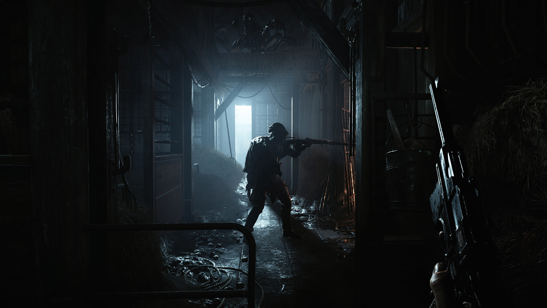 Hunt: Showdown 1896 screenshot 4